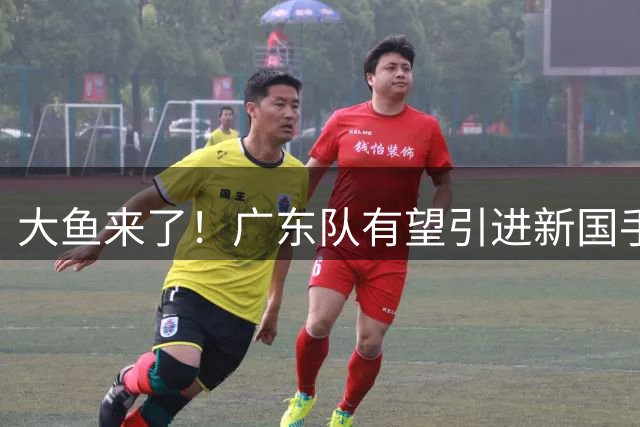 大鱼来了！广东队有望引进新国手后卫，这可是“加强版徐杰”！
